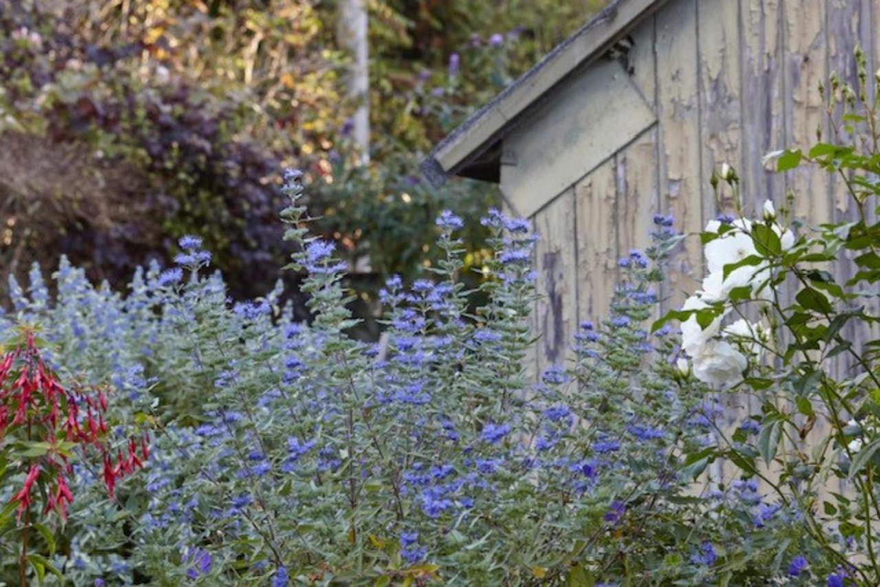 Lavender Cottage Біер Екстер'єр фото